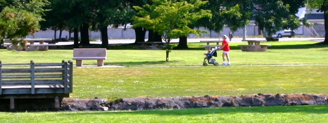 Woman walking stroller in park