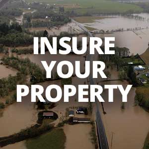 Insure your property